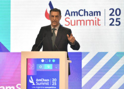 Facundo Gomez Minujin AmCham